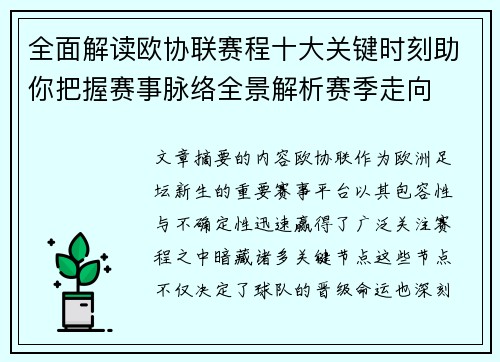 全面解读欧协联赛程十大关键时刻助你把握赛事脉络全景解析赛季走向